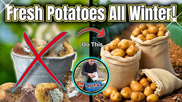 4 Genius Ways to Store Potatoes All Winter!