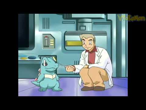 Totodile attacks Professor Oak | Professor Oak Funny Moments