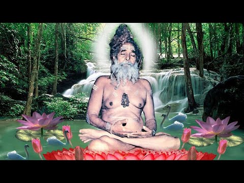     swar sindhuraa  jaibabaji  janardan  swami   vidhi  swamishantigirijimaharaj