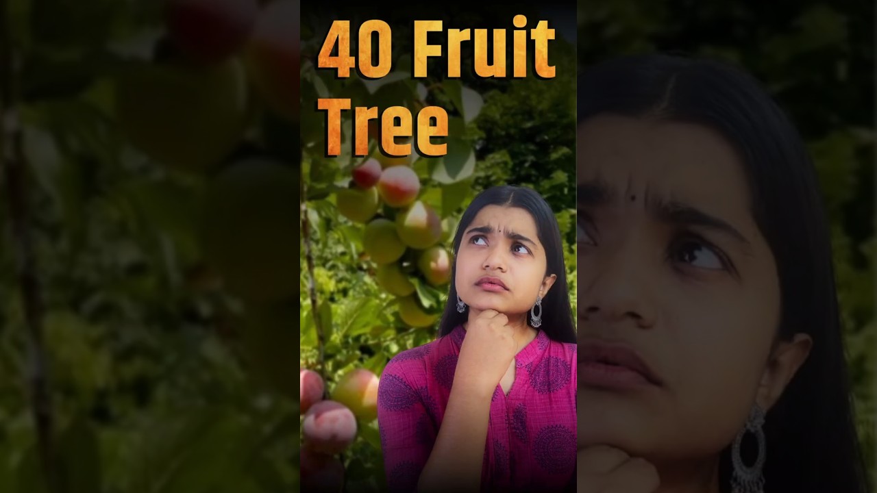 "One Tree, 40 Fruits" 