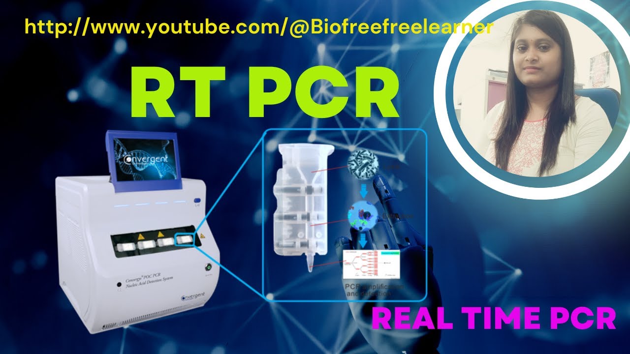 Quantitative PCR | QPCR | Real Time PCR