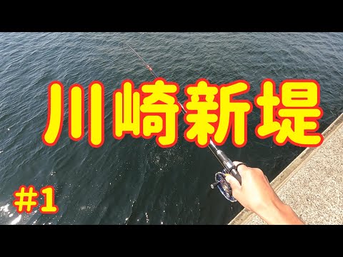2022.05.30 “#ヘチさぐり銀治郎”片手に【#川崎新堤】で黒鯛。 - YouTube