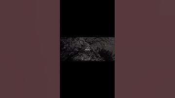 سورة الاحزاب الآية (23) ... أكتب شي تؤجر عليه