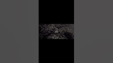سورة الاحزاب الآية (23) ... أكتب شي تؤجر عليه