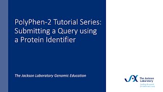 PolyPhen-2 Tutorial Series: Submitting a Query using a Protein Identifier