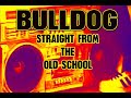 New VOL.11  - BULLDOG   Straight From The OLD SCHOOL Mp3 Song