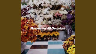 Stellar Backdrops for Creative Smiles