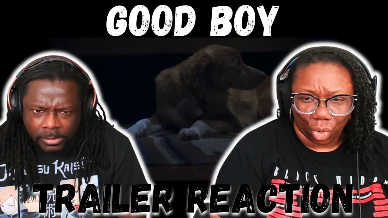 Good Boy - Official Trailer | Reaction