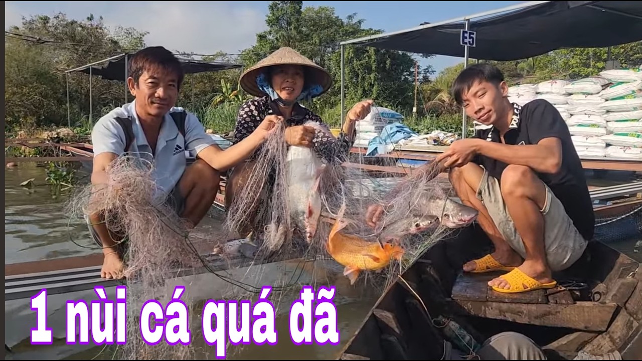 Thăm Lưới Trúng Mánh Bầy Cá Bự 3 Người Xúm Lại Phụ Gỡ Cá # SĂN BẮT ĐỒNG THÁP #