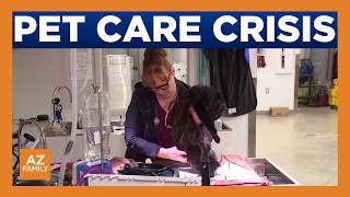 As vet costs surge, Arizona pet owners look for relief