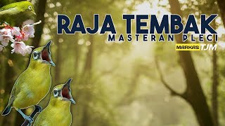 Download Lagu 🔴 LIVE Masteran Pleci Raja Tembak Cocok Untuk G12 MP3 Download Lagu 🔴 LIVE Masteran Pleci Raja Tembak Cocok Untuk G12 MP3