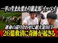【26億円救済企画に奇跡が起きる】一平の生まれ変わりか！？競走馬『イッペイ』運命の巡り合わせに迷わず有り金全ツッパ！！