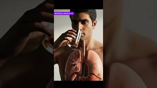 Inside Your Body: What Happens When You Drink Alcohol | 3D Digestion Animation Explained