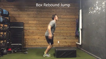 Resilient Performance - Box Rebound Jump