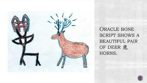 Chinese Oracle Bone Characters Explained in English Part 24