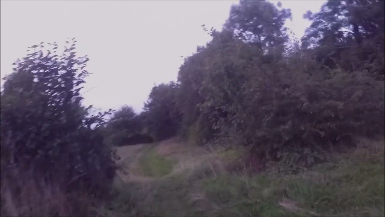 investigation 42 old farm ruin part two