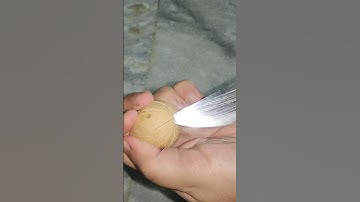 easy way to open walnut shell #lifewithayesha #shortvideo #shortsvideo #shorts #short #trending
