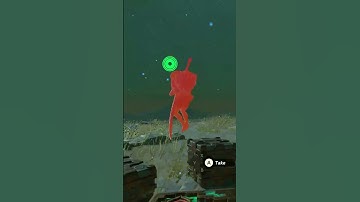 Lore Accurate Link trickshots Flux Construct the second way