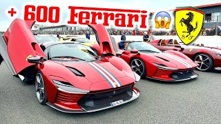 Le PLUS GROS Rasso Ferrari de France  Sport et Collection 2024