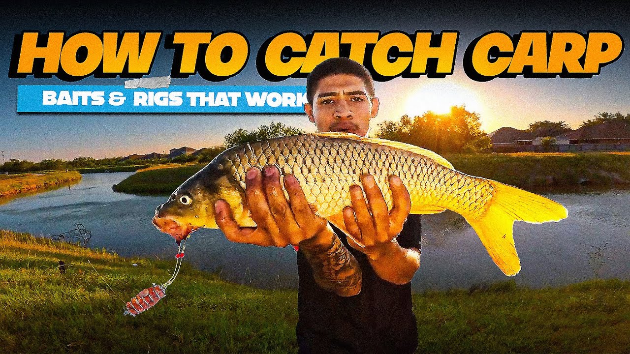 How to Catch Carp: Best Baits, Rigs, and Pro Tips - YouTube