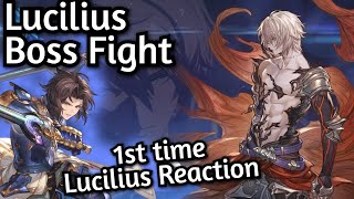 [Lancelot PoV] Rin's first Lucilius - gbf relink the final vision proud