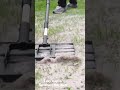 Flattening the lawn #Gardening #Lawn
