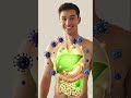 See Human Digestive System in 3D Animation ! #3danimation #aiart #shortsusa