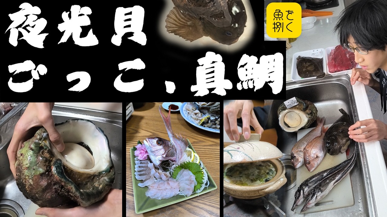 夜光貝のお造り・ごっこ汁・真鯛の姿造り、　本編