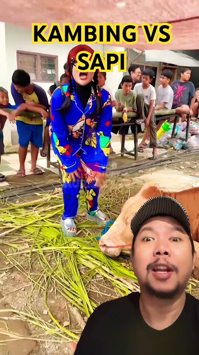 KAMBING VS SAPI MANA YG PALING GEDE!!? #funny #lucu #comedy #ngakak