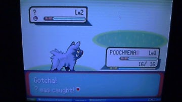 Pokemon Emerald Gameshark Codes ? Pokemon