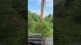 clearing grass blocking river flow #river #cleanup