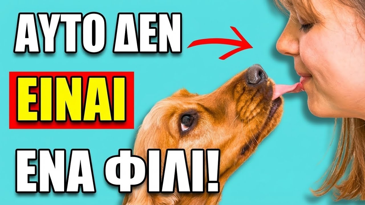 Όταν οι Σκύλοι Σε ΓΛΕΊΦΟΥΝ, Αυτό Είναι Αυτό Που Σημαίνει ΠΡΑΓΜΑΤΙΚΆ (ΔΕΝ είναι χαριτωμένο!) Thumbnail