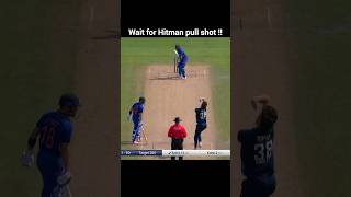 Wait for pull shot #shorts #cricket #viral #trend #hitman