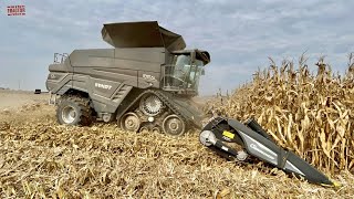 FENDT IDEAL 9T Combine Harvesting Corn