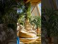 Futuristic Biophilic Interior Design! #interior #interiordesign #homedecor #biophilic #futuristic