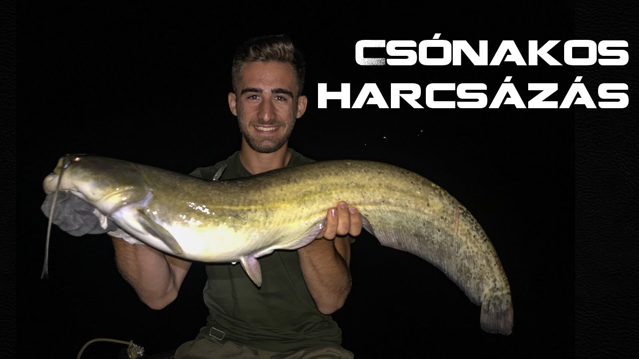 Csónakos harcsázás a VMFishing-el | A bánya bajuszosai