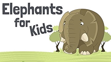 Elephants for Kids