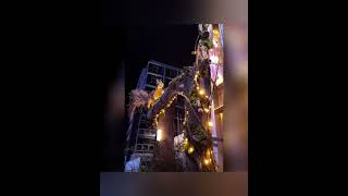 Les lumières de la ville   XPDF
