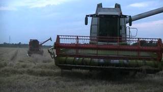 Gerste ernte 2011