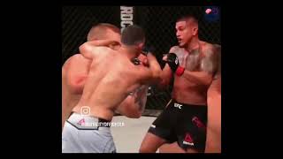 Nate Diaz : Pourquoi tout le monde respecte le Stockton Slap ! #NateDiaz #Stockton #UFC #mma #209