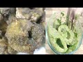 Fish Fried in Green Masala By Sabiha Siddiqui