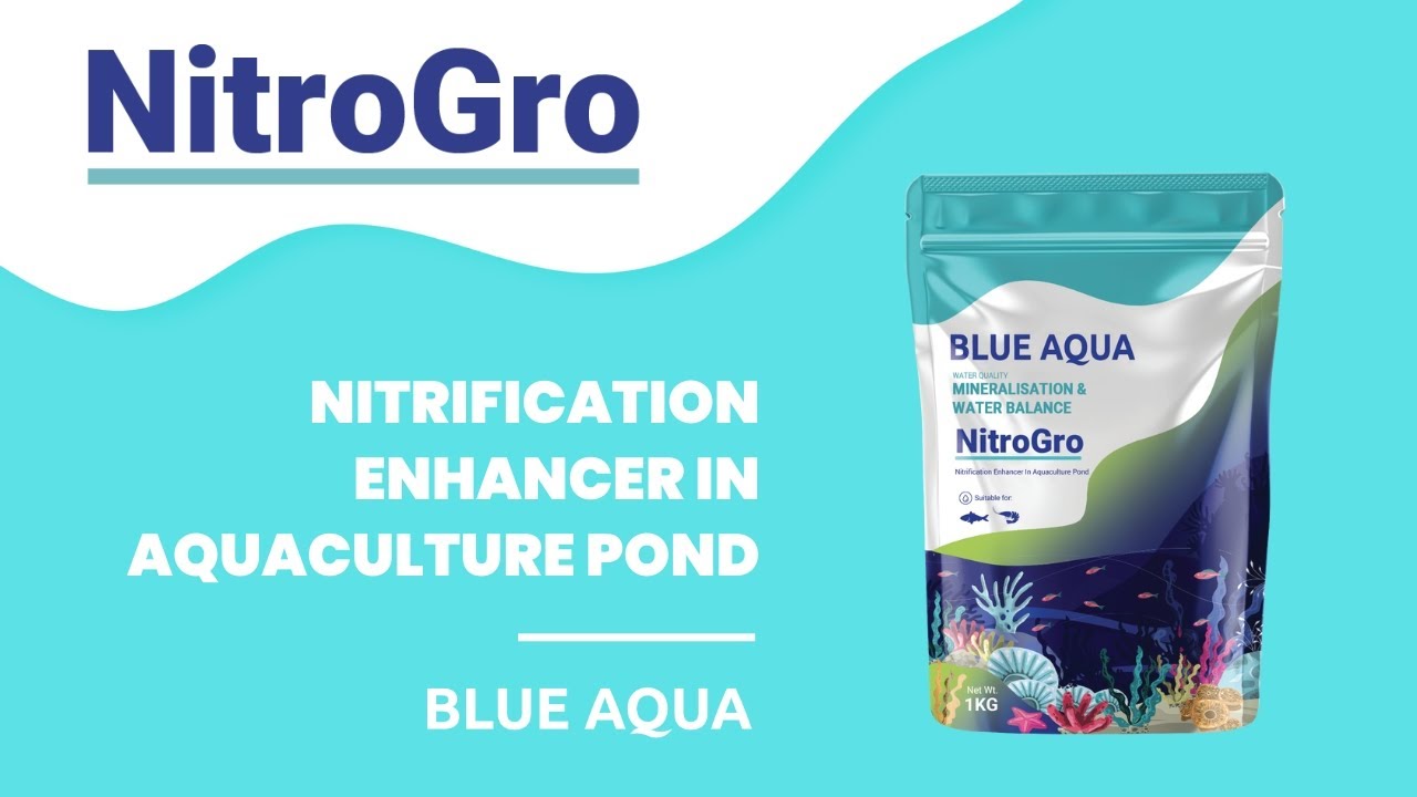 NitroGro: Nitrification Enhancer in Aquaculture Pond