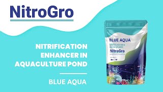 NitroGro: Nitrification Enhancer in Aquaculture Pond