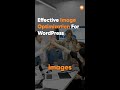 Quick SEO Image Optimization for WordPress | #WordPress