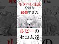 ㊗️100万回❗️やはり最強すぎたルビーのセコムたち