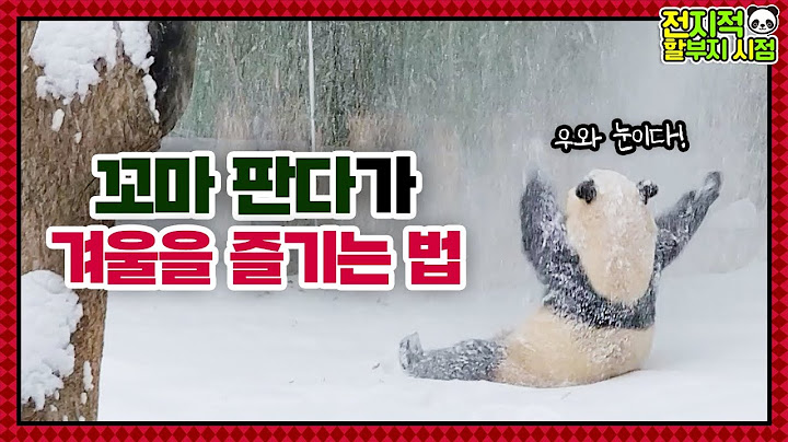 (SUB) Baby Panda Is Bombarded With Snow And Excited After Touching Snowy Tree│Panda Family🐼