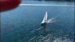 Tanzer 22 Lark sailing in the NW Arm - Halifax, NS, Canada
