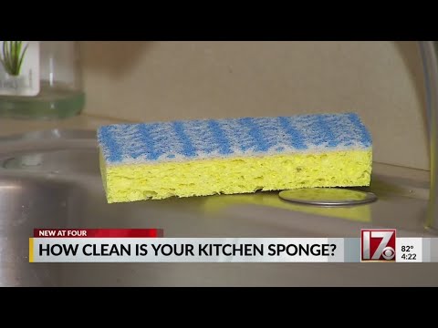 Study: Your Kitchen Sponge Has More Germs Than Your Toilet