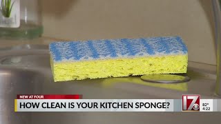 How clean is your kitchen sponge?