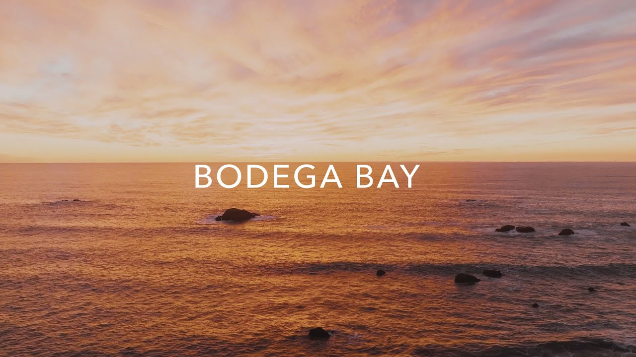 Bodega Bay Beach Drone Relaxing Nature Video